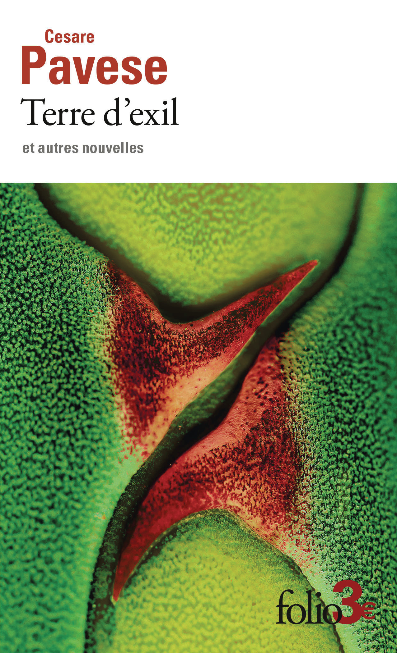 Terre d'exil et autres nouvelles - CESARE PAVESE, Cesare Pavese, Pierre Laroche, Cesare Pavese, Pierre Laroche - FOLIO Terre d'exil et autres nouvelles - CESARE PAVESE, Cesare Pavese, Pierre Laroche, Cesare Pavese, Pierre Laroche - FOLIO