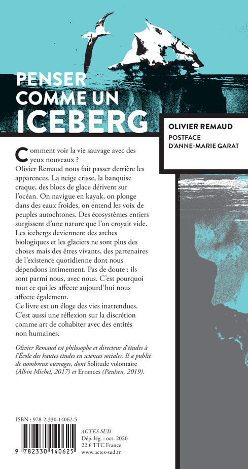 Penser comme un iceberg - Olivier Remaud, Anne-Marie Garat, Stéphane Durand, Olivier Remaud, Anne-Marie Garat - ACTES SUD