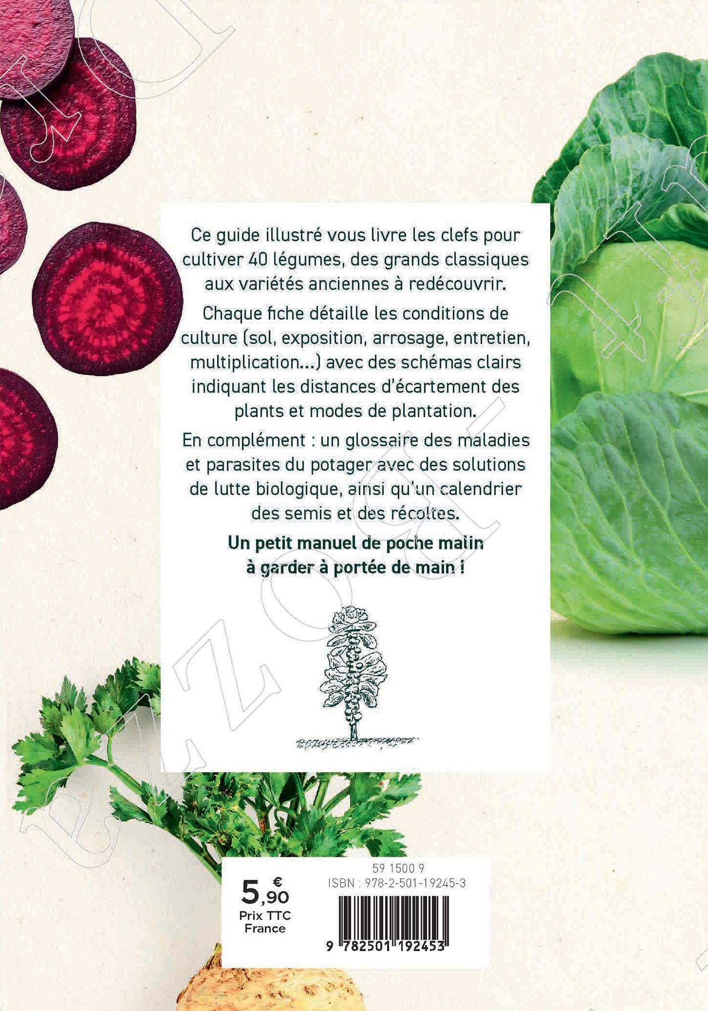 Mémento du potager - Philippe Clayette - MARABOUT